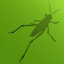 Grasshopper Level I